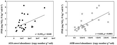 Ammonia-Oxidizing Archaea Show More Distinct Biogeographic Distribution Patterns than Ammonia-Oxidizing Bacteria across the Black Soil Zone of Northeast China